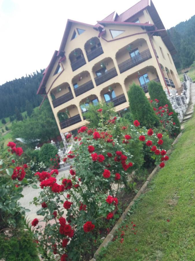 Pensiunea Alunis Hotel Садова Екстериор снимка