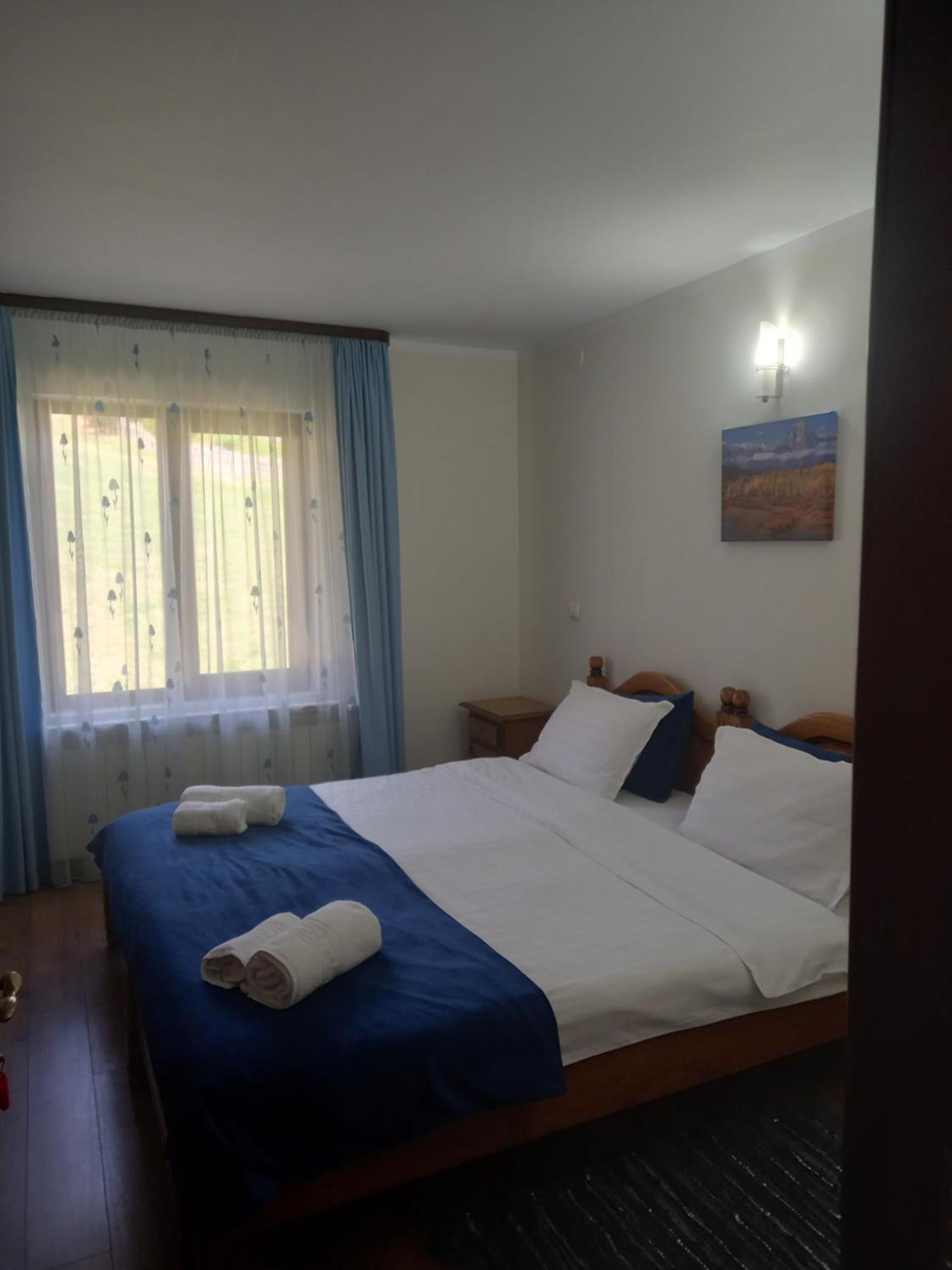 Pensiunea Alunis Hotel Садова Екстериор снимка