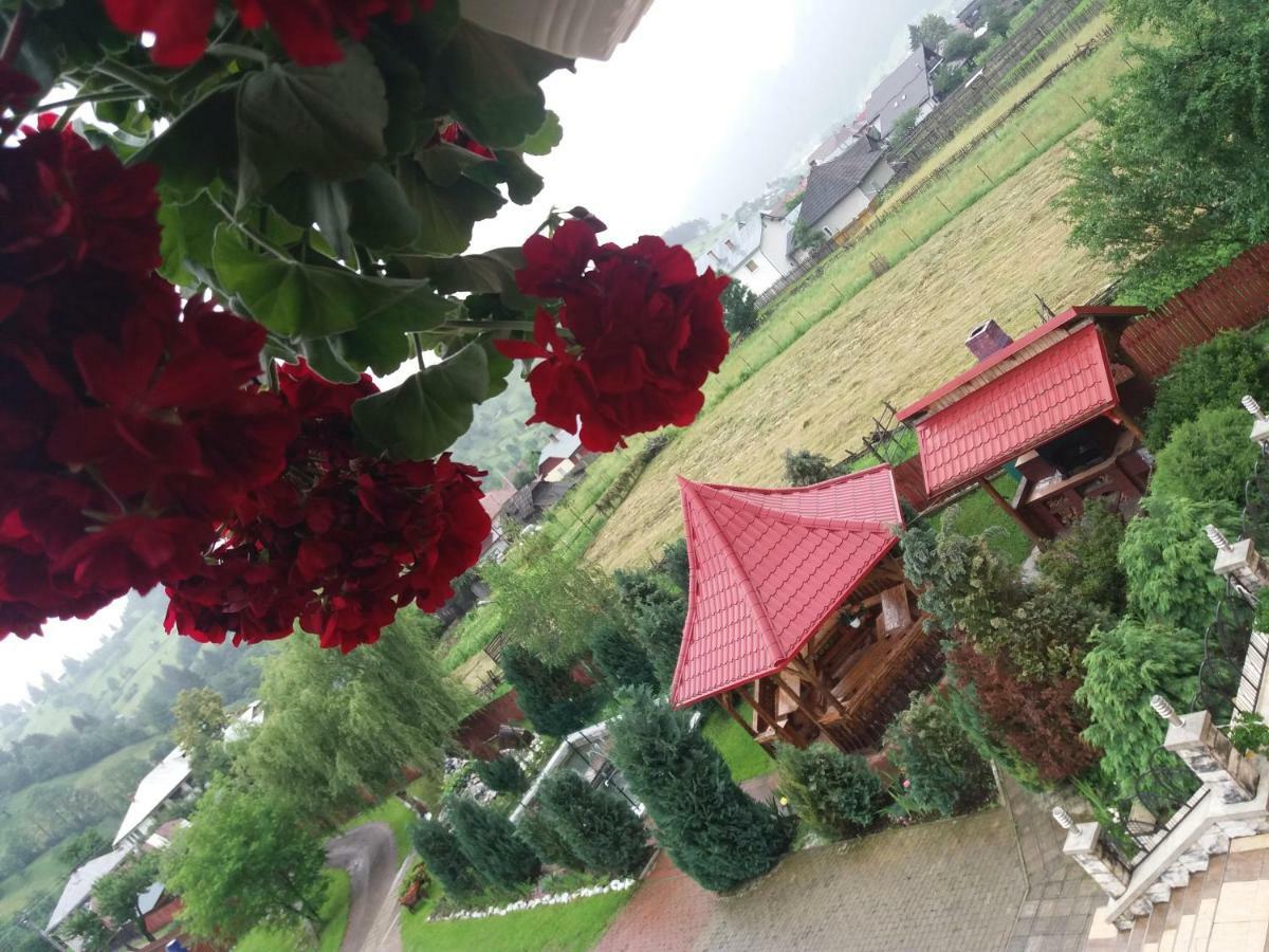 Pensiunea Alunis Hotel Садова Екстериор снимка